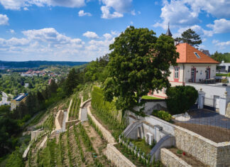 POKLADY SE OTEVÍRAJÍ aneb PUTOVÁNÍ PO PRAŽSKÝCH VINICÍCH 2025. Procházky, přednášky i ochutnávky