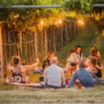 picnic-in-vineyards