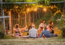 Okolím Verony za vínem i zážitky. Valpolicella láká k návštěvám vinařství, farmem i honosných vil piknik ve vinohradu