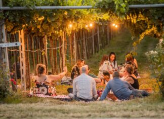 Okolím Verony za vínem i zážitky. Valpolicella láká k návštěvám vinařství, farmem i honosných vil piknik ve vinohradu