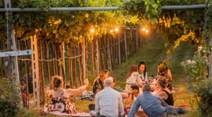 Okolím Verony za vínem i zážitky. Valpolicella láká k návštěvám vinařství, farmem i honosných vil piknik ve vinohradu