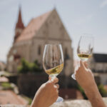 ZNOJMO_vino_MG_5836