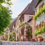 Weingut Koch