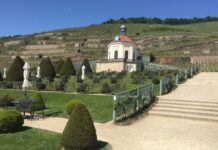 Vinice v Německu. Objevujte krásná vína i půvabnou vinařskou krajinu