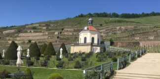 Vinice v Německu. Objevujte krásná vína i půvabnou vinařskou krajinu