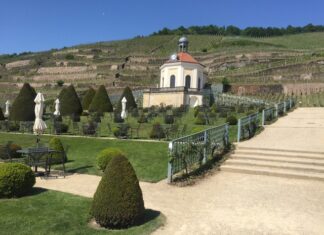 Vinice v Německu. Objevujte krásná vína i půvabnou vinařskou krajinu