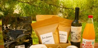 BIOVÍNO ROKU: Chardonay 2023 z Vinařství Čech. Perla z kraje zdobných krojů a bohatého folklóru, z moravsko-slováckých Tvrdonic