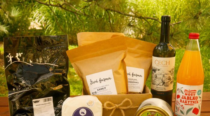 BIOVÍNO ROKU: Chardonay 2023 z Vinařství Čech. Perla z kraje zdobných krojů a bohatého folklóru, z moravsko-slováckých Tvrdonic