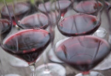 Vinařství Znovín Znojmo a Bohemia Sekt zazářily na Mundus Vini. Z Německa přivezli naši vinaři 16 medailí