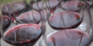 Vinařství Znovín Znojmo a Bohemia Sekt zazářily na Mundus Vini. Z Německa přivezli naši vinaři 16 medailí