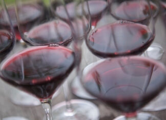 Vinařství Znovín Znojmo a Bohemia Sekt zazářily na Mundus Vini. Z Německa přivezli naši vinaři 16 medailí