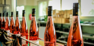 Cena Svatomartinských vín zůstává a už jsou tady