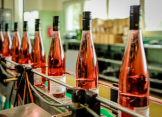 Cena Svatomartinských vín zůstává a už jsou tady