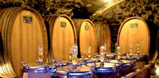 OIV přichází s první bilancí vinařského roku 2024. Vinaři čelí stále větší nejistotě