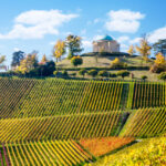 Stuttgart Germany scenic view of Rotenberg mausoleum and vineyards