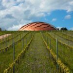 1_Tenute-Lunelli_Tenuta-Castelbuono_Umbria_Carapace_outside-620-x-349-px