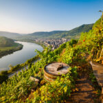 Moselle at sunrise