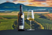 Jubilejní Salon vín 2025 zná vítěze. Volaříkův Ryzlink vlašský 2022 nejlepším vínem roku