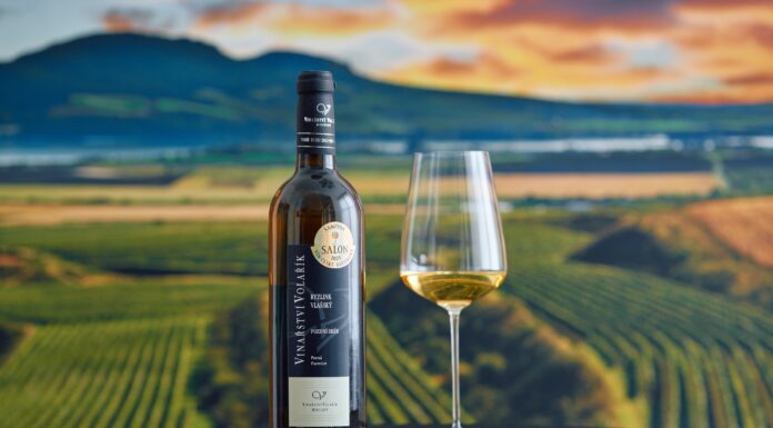 Jubilejní Salon vín 2025 zná vítěze. Volaříkův Ryzlink vlašský 2022 nejlepším vínem roku