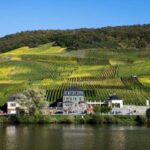 DrLoosen20191030x20cm300dpi©DrLoosenphotoChrisMarmann-TEASER-620-x-349-px