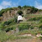 DrLoosenWehlenerSonnenuhr019x7cm300dpi©DrLoosen-620-x-349-px