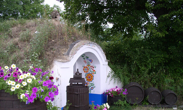 Sauvignon z Milotic u Kyjova zvítězil mezi nejlepšími víny na Slovácku