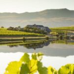 Tasting-Room-Image-620-x-349-px