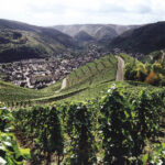 Vinice-nad-vesniukou-Dernau