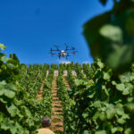 Dron_Klara -004