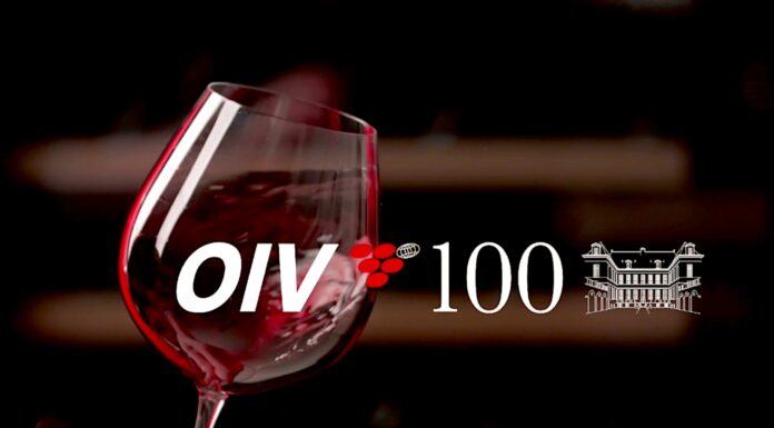 Organizace pro révu a víno OIV oslavila 100 let. Do další stovky vstupuje s novými vizemi i úkoly