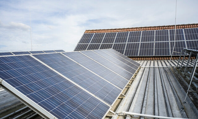 Rakousko lídrem v udržitelném vinohradnictví. Rekordní růst ekologických vinic