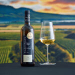 Sampion-Salonu-vin-2025