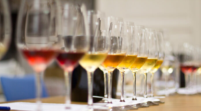 GALADEGUSTACE nejlepších vín Prague Wine Trophy. 18 ročník nabídne na 500 skvělých vín