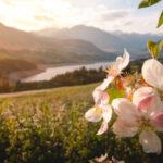 ValdiNon-LagodiSantaGiustina_PaoloCrocetta_48976