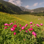 Monte Baldo.Brentonico, Monte Baldo.Credits: Luciano Gaudenzio