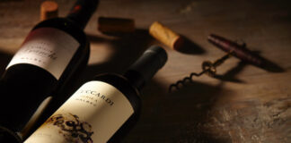 MALBEC OPĚT SLAVÍ. Jak argentinské hory stvořily vinařský fenomén