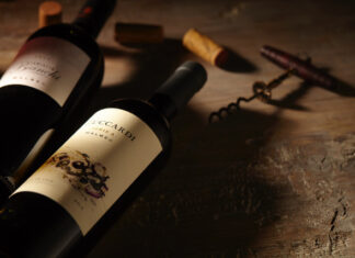 MALBEC OPĚT SLAVÍ. Jak argentinské hory stvořily vinařský fenomén