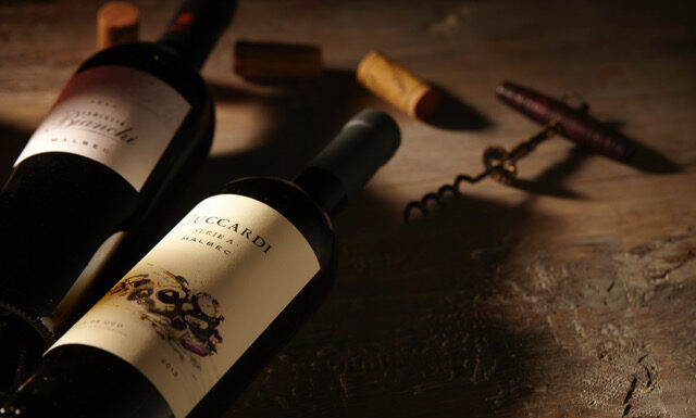 MALBEC OPĚT SLAVÍ. Jak argentinské hory stvořily vinařský fenomén