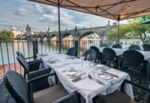 JARNÍ KAMPA PARK OKOUZLÍ SVĚŽESTÍ CHUTÍ.  Sezona plná čerstvosti, elegance i vzpomínek