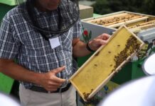 POJEĎTE V MEDU O VÍKENDU. Medovina, jarní medové lívanečky, medovník… Národní zemědělské muzeum voní sladce