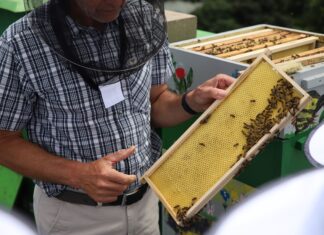 POJEĎTE V MEDU O VÍKENDU. Medovina, jarní medové lívanečky, medovník… Národní zemědělské muzeum voní sladce