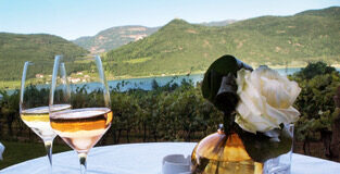 VÍNO A KYTKA: Snoubení barev i vůní