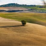 marco-timelli-sTOZXl2irDc-unsplash