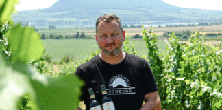 DECANTER WORLD WINE AWARDS 2025: 4x zlato pro tuzemské vinaře