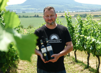 DECANTER WORLD WINE AWARDS 2025: 4x zlato pro tuzemské vinaře