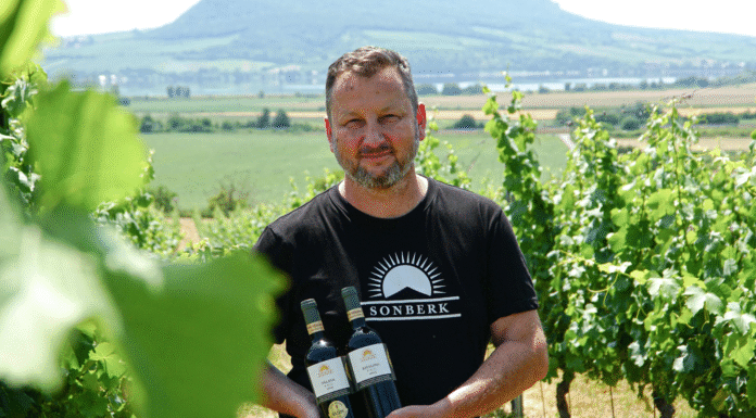 DECANTER WORLD WINE AWARDS 2025: 4x zlato pro tuzemské vinaře