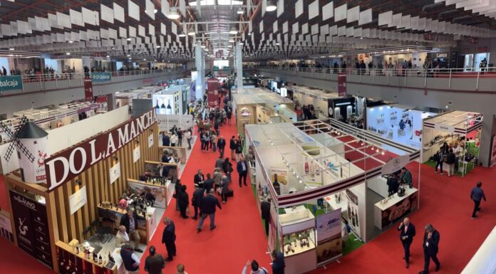 FENAVIN 2025: Víno, slunce, skvělá prezentace a budoucnost byznysu