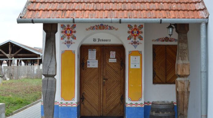 VÍTĚZNÉ VÍNO SLOVÁCKA: Dornfelder od Jeňoura