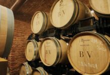 CABERNET SAUVIGNON 2018 šampionem Velkopavlovické podoblasti. Červené do třetice