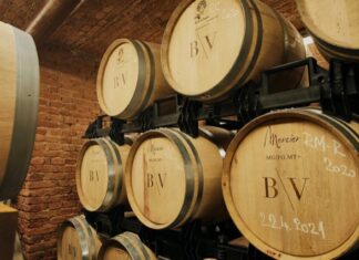 CABERNET SAUVIGNON 2018 šampionem Velkopavlovické podoblasti. Červené do třetice